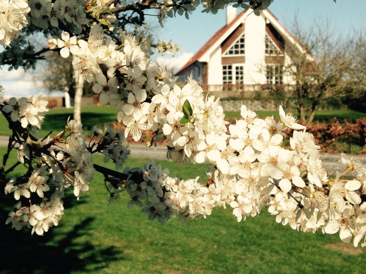 Margretelyst Bed and Breakfast Farsø Eksteriør billede