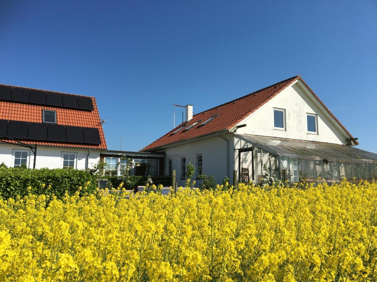 Margretelyst Bed and Breakfast Farsø Eksteriør billede