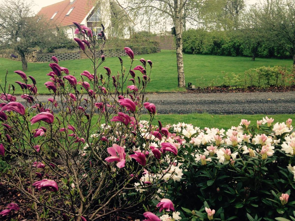 Margretelyst Bed and Breakfast Farsø Eksteriør billede